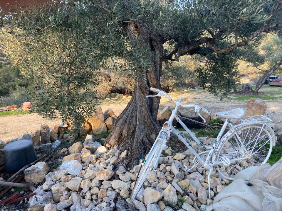 Herregård i El Perello, Tarragona - bilde 2